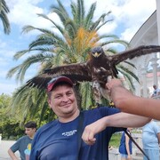 ���������� �����, ���� ������� ������, 48 ���, ������������ ��� ������, ����� � ���������