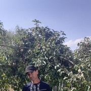 ���������� ����������, ���� ������� �����, 43 ����, ������������ ��� c�������� ���������, ���������