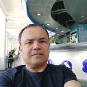  --,   , 49 ,   ,   