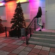 ���������� ������, ���� ������� ���������, 21 ���, ������������ ��� ���������