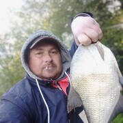 ���������� ������, ���� ������� ����, 38 ���, ������������ ��� ������, ����� � ���������