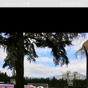 ���������� ������, ���� ������� ����, 41 ���, ������������ ��� ������, ����� � ���������, c�������� ���������