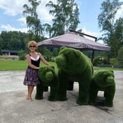 ���������� ��������, ���� ������� �����, 61 ���, ������������ 