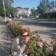  ,   , 53 ,     , c 