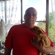  ,   , 53 ,   