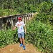 ���������� ������, ���� ������� �������, 43 ����, ������������ ��� ����� � ���������, c�������� ���������