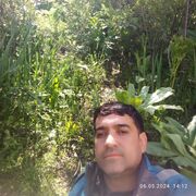  -,   Zoir, 44 ,   ,   