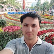  ,  , 33