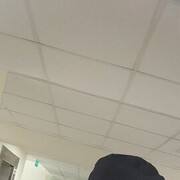  ,   Vetal, 33 ,   c 