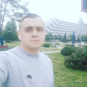  ,   Lion, 31 ,   