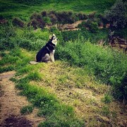 ���������� �������, ���� ������� ������, 27 ���, ������������ ��� ������, ����� � ���������, c�������� ���������, ���������