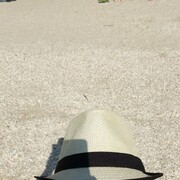 ���������� ����, ���� ������� ������, 41 ���, ������������ ��� ������, ����� � ���������, c�������� ���������, ���������