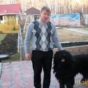  ,   Denis, 35 ,   