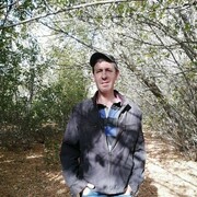 ���������� ������-��-����, ���� ������� ������, 48 ���, ������������ ��� ������, ����� � ���������