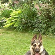 ���������� ������, ���� ������� ���������, 68 ���, ������������ ��� ������