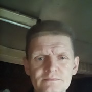   ,   , 49 ,  
