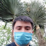 ���������� �������, ���� ������� ��������, 38 ���, ������������ ��� ����� � ���������, c�������� ���������