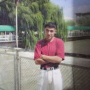  ,   Mister, 40 ,   ,   