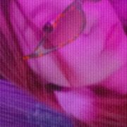  ,  , 22
