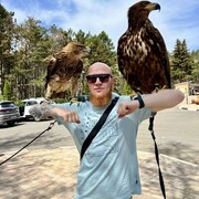 ���������� �����������, ���� ������� ����, 37 ���, ������������ ��� ������, ����� � ���������