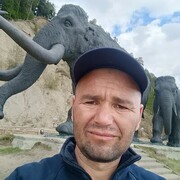  ,   , 41 ,     