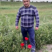  -,   , 43 ,   ,   