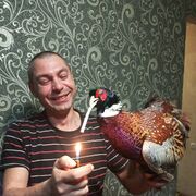 ���������� ����������, ���� ������� ������, 41 ���, ������������ ��� ������, ����� � ���������