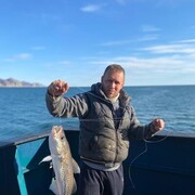 ���������� �����������, ���� ������� ���������, 40 ���, ������������ ��� ����� � ���������, c�������� ���������