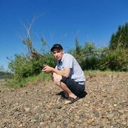 ���������� ����������, ���� ������� �������, 33 ����, ������������ ��� ������, ����� � ���������