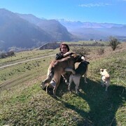 ���������� ������, ���� ������� �����, 61 ���, ������������ ��� c�������� ���������