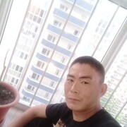  -,   , 29 ,   ,   , c 