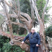  ,   , 68 ,   ,   , c 