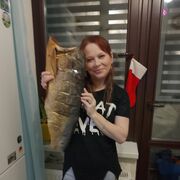 ���������� ���������� �����, ���� ������� ������, 42 ����, ������������ ��� ������, ����� � ���������, c�������� ���������