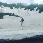 ���������� ����, ���� ������� �������, 40 ���, ������������ ��� ������, ����� � ���������, c�������� ���������