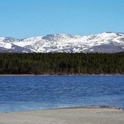 ���������� ����, ���� ������� �����, 39 ���, ������������ 