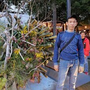  ,   , 38 ,   ,   , c , 
