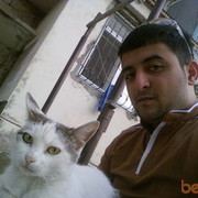  ,   , 38 ,   