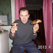  ,   , 51 ,   