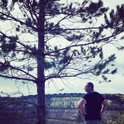 ���������� ��������, ���� ������� ���������, 33 ����, ������������ ��� ������, ����� � ���������