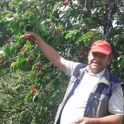  ,   , 55 ,     , c 