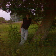 ���������� ���������, ���� ������� ��������, 50 ���, ������������ ��� ������