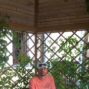 ���������� ������, ���� ������� �������, 40 ���, ������������ ��� ������, ����� � ���������