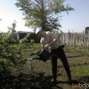  ,   Ivanes, 37 ,   ,   , c 