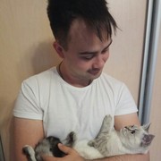 ���������� ������, ���� ������� �������, 37 ���, ������������ ��� ������, ����� � ���������, c�������� ���������