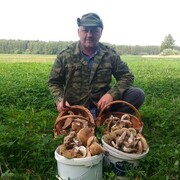  ,   Schuriks, 52 ,   ,   