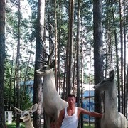 ���������� ������, ���� ������� ���������, 37 ���, ������������ ��� ������, ����� � ���������