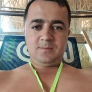 ���������� ������-��-����, ���� ������� Boxodir, 32 ����, ������������ ��� ������, ����� � ���������