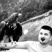  ,   Abubakr, 29 ,   ,   