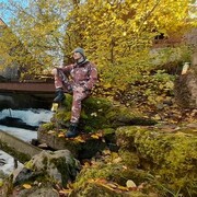  ,   , 43 ,  