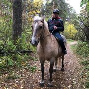 ���������� ���������, ���� ������� ����, 48 ���, ������������ ��� ������, ����� � ���������, c�������� ���������